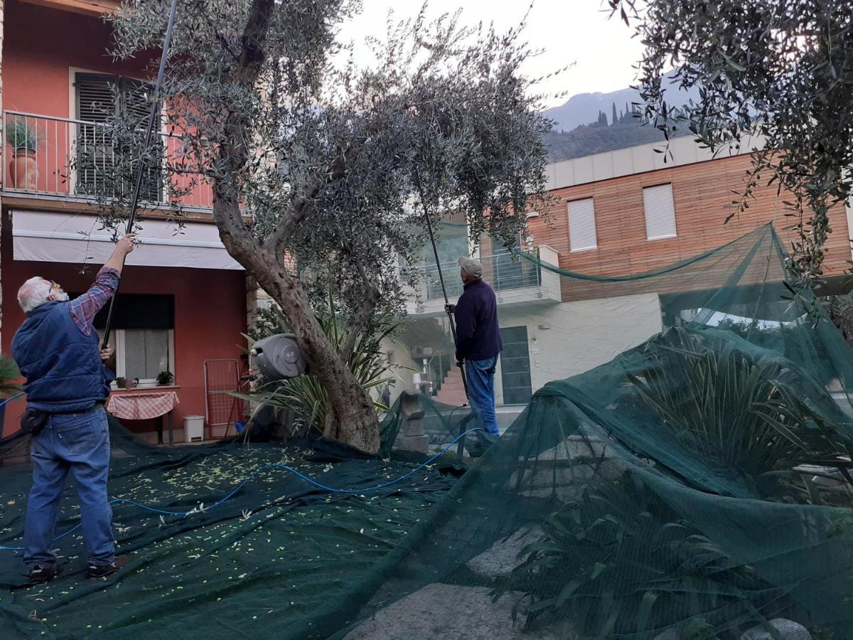 "Casabana" - Relax Tutto L'Anno - Giardino - Piscina Top Malcesine Exterior foto